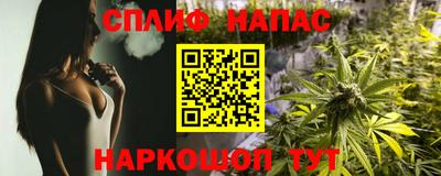 скорость Будённовск